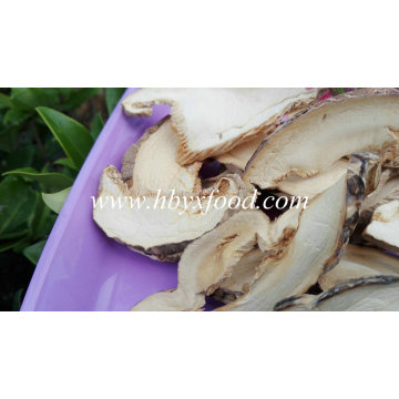 Secured en rodajas Pleurotus Eryngii Mushroom Mejor Precio